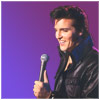 Elvis, The Way It Was, Featuring Stephen Kabakos